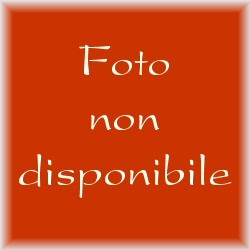 Supporto a Ventosa per SOFTABLET 8